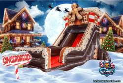 19' Gingerbread House Dry Slide