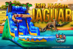 15' Hidden Jaguar Dry Slide