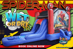 Spiderman Deluxe Bounce & Slide