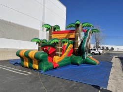 TREX2 1639491063 big 1753102095 Dinosaur Bounce and Slide